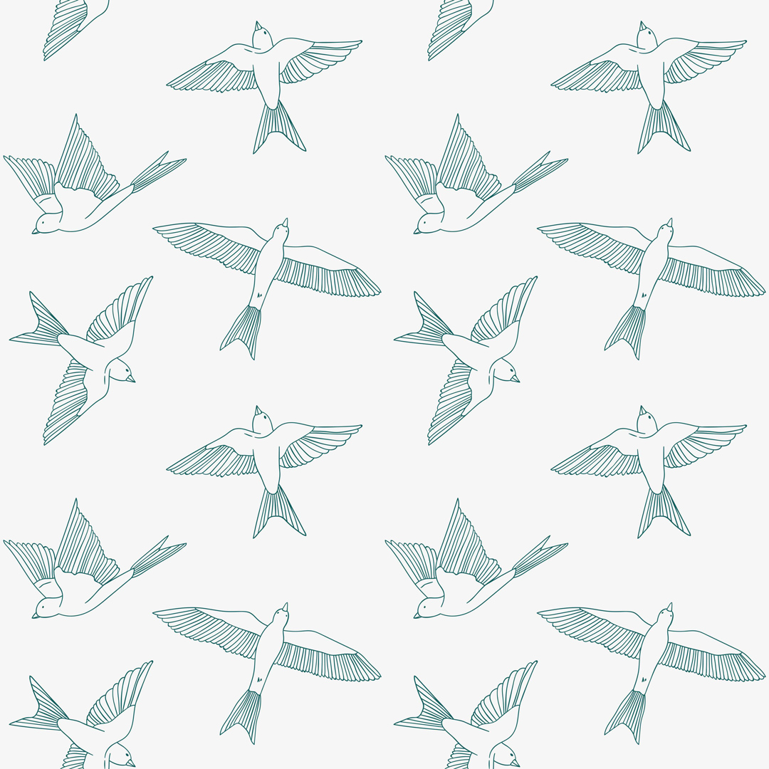 Tapeta turkusowe, latające ptaki w stylu BOHO na szarym tle - Dekoori zdjęcie 1