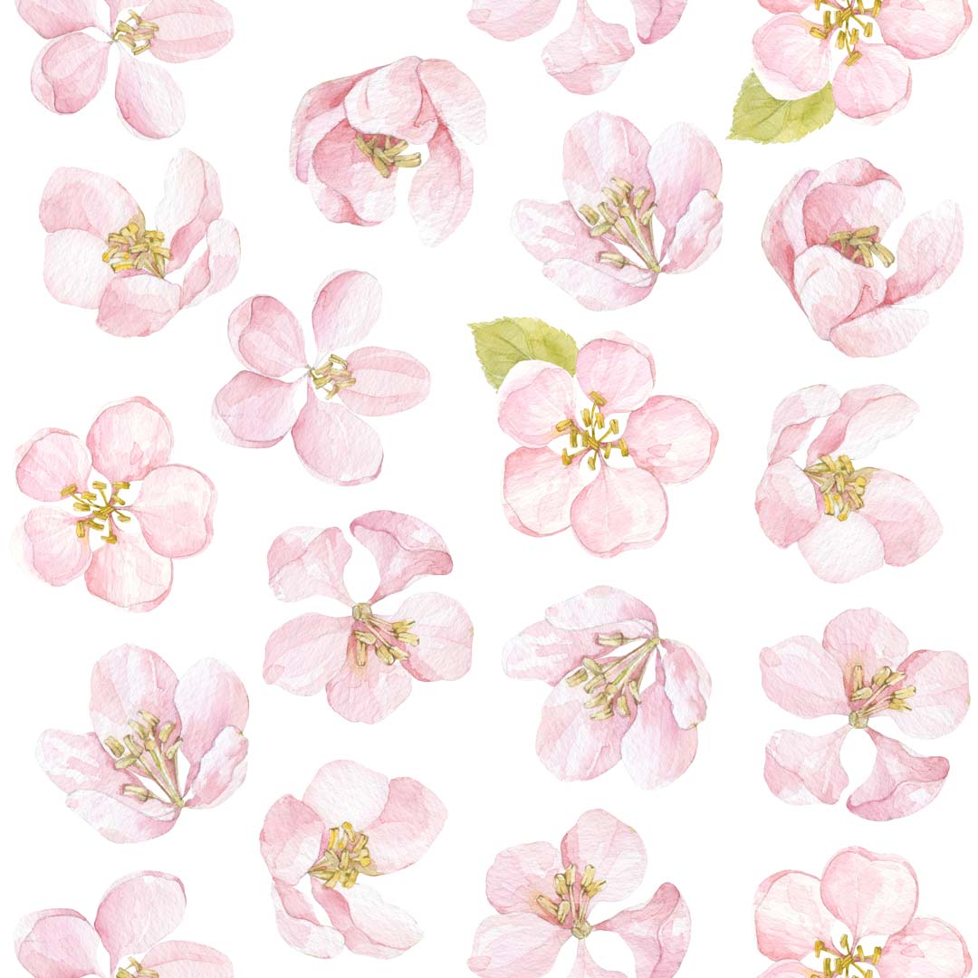 Tapeta w duże kwiaty jabłonki: jasne, pastelowe, wiosenne