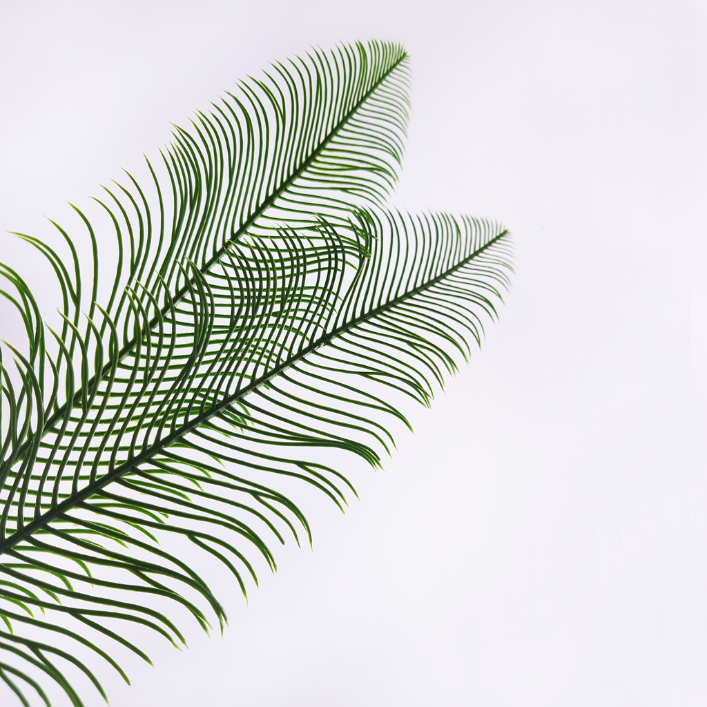 Zielona paprotka, sztuczny liść, ozdobny dodatek w stylu PRL - Masz zdjęcie 1
