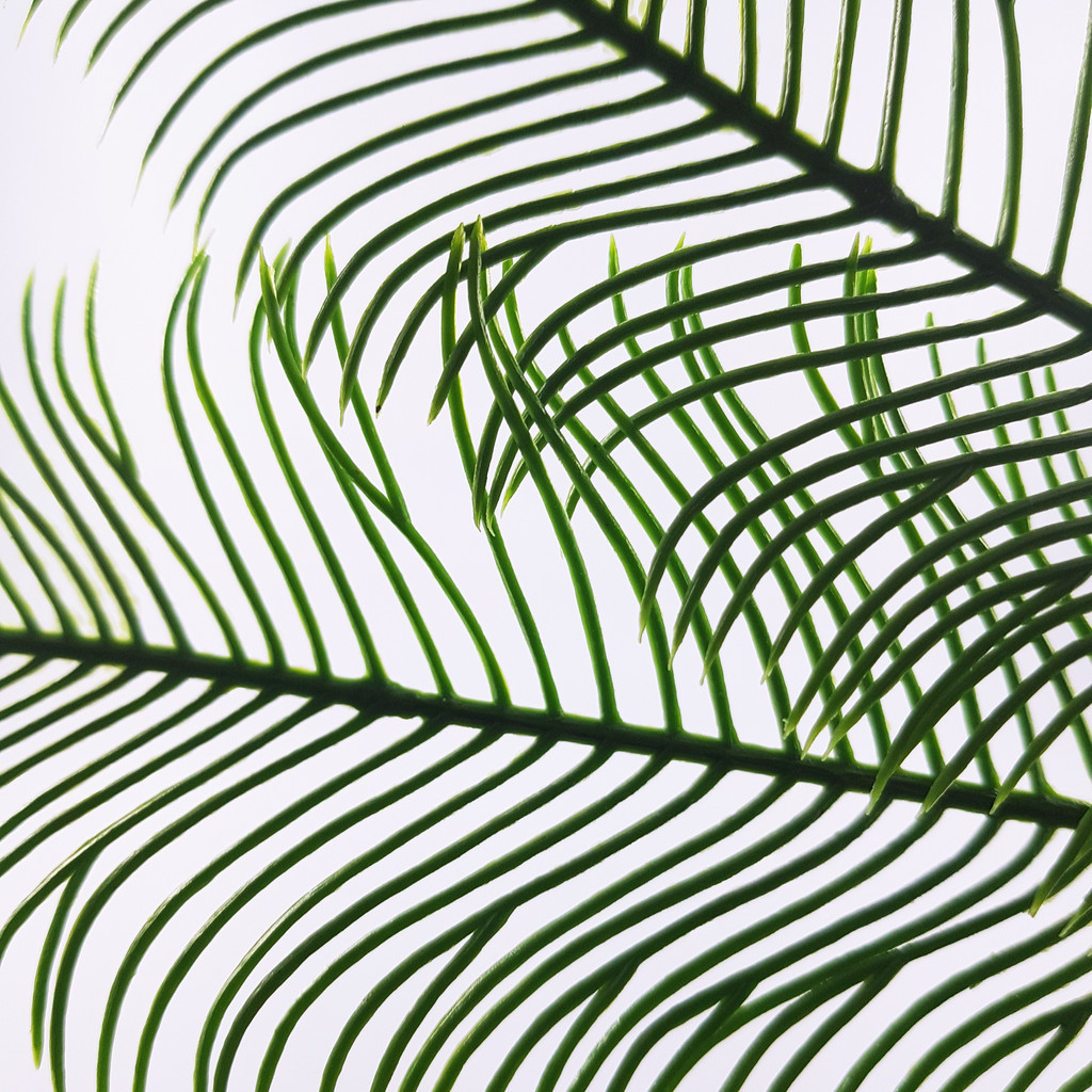 Zielona paprotka, sztuczny liść, ozdobny dodatek w stylu PRL - Masz zdjęcie 4