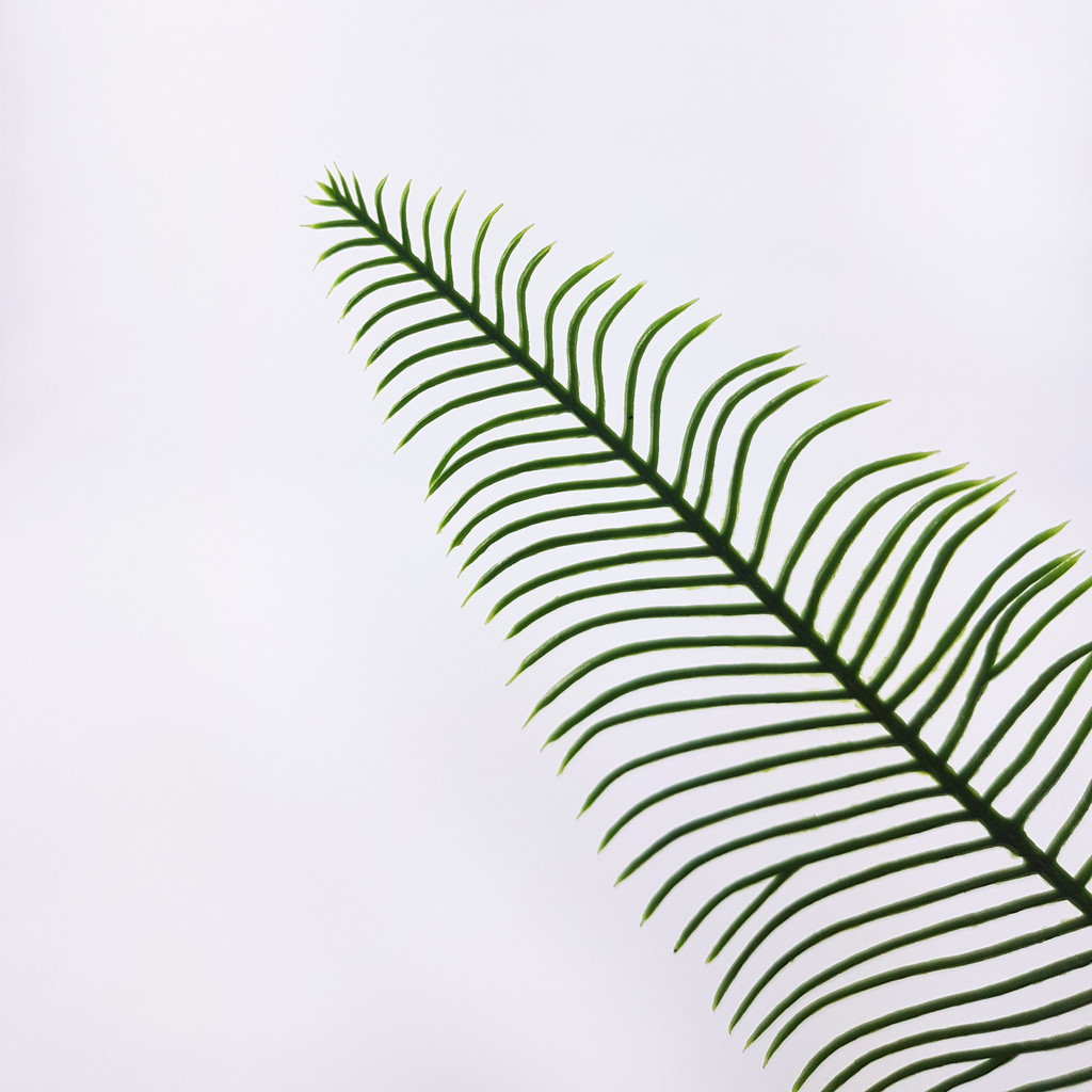 Zielona paprotka, sztuczny liść, ozdobny dodatek w stylu PRL - Masz zdjęcie 2