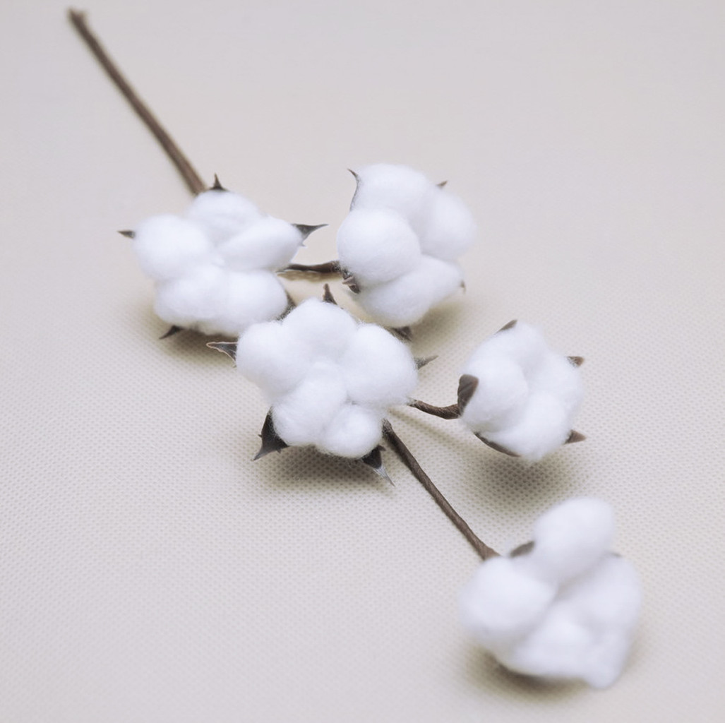 Sztuczny kwiat bawełny z białymi owocami, włoskami, włóknami - Masz zdjęcie 1