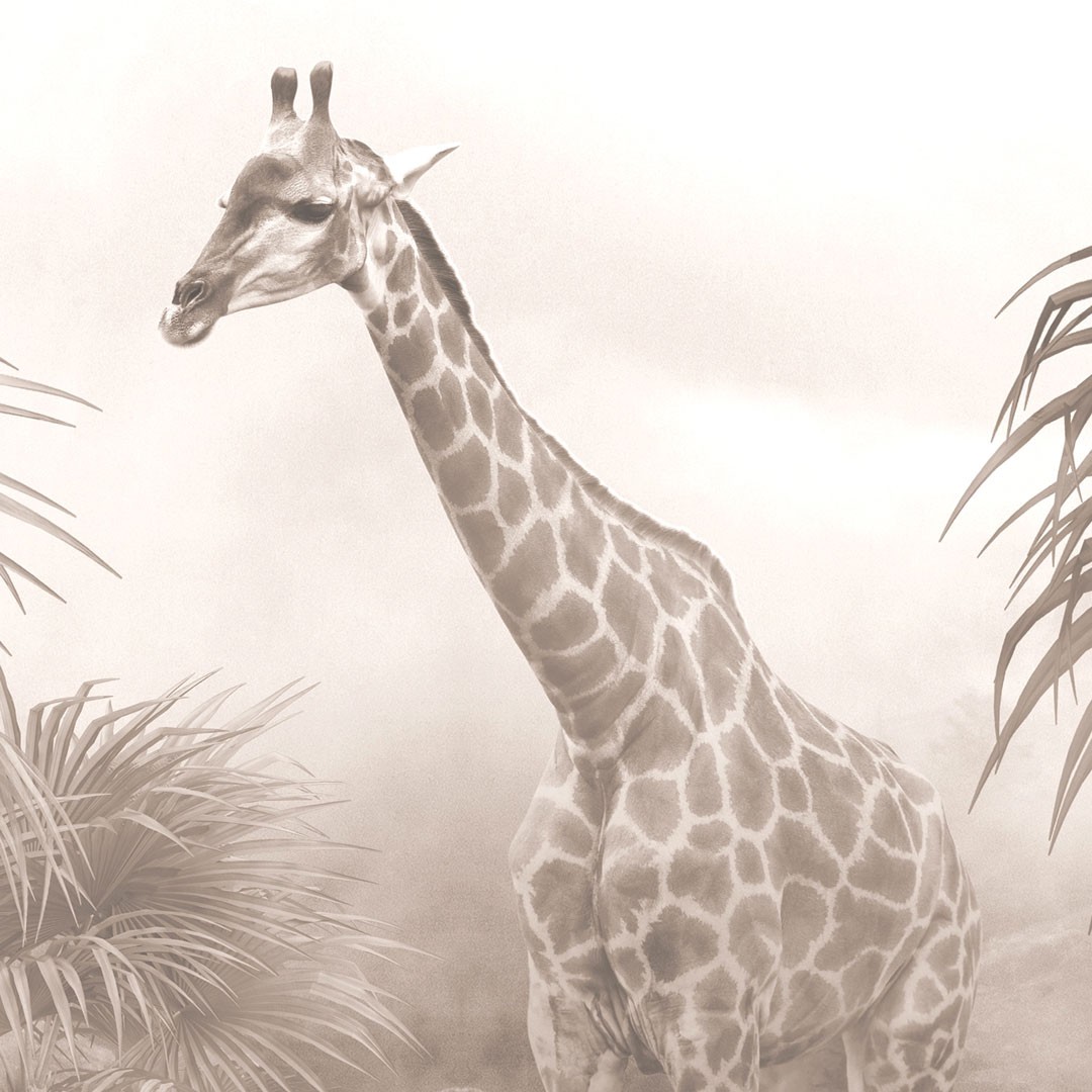 Fototapeta na ścianę żyrafa w tropikalnej dżungli, palmy sepia - TALLA