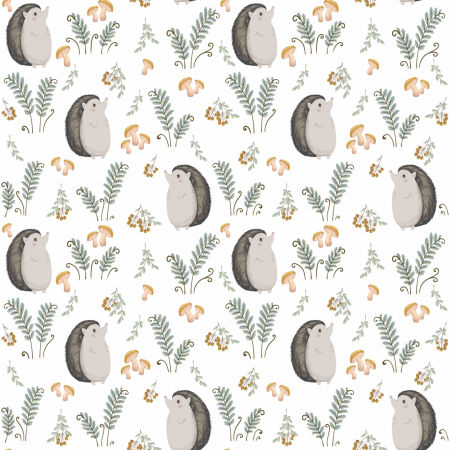 Tapeta Pan Jeż na spacerze w lesie - do pokoju dziecięcego