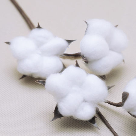Sztuczny kwiat bawełny z białymi owocami, włoskami, włóknami