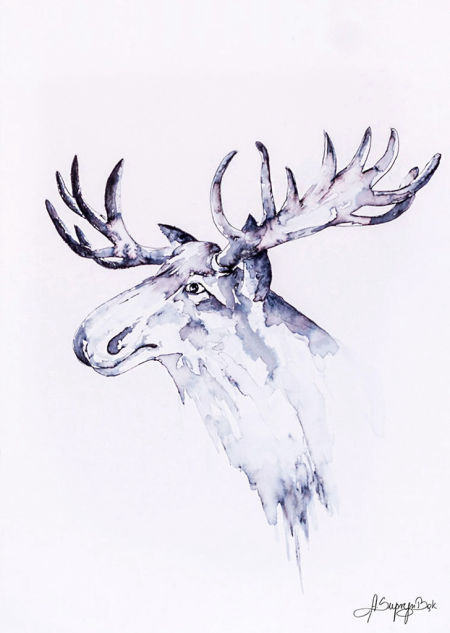 Plakat na ścianę ŁOŚ, natura, zwierzęta, artystyczny, akwarela