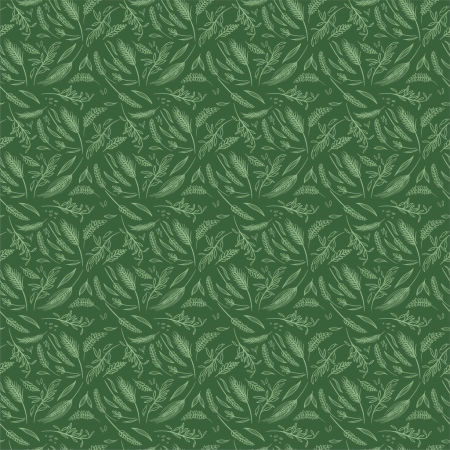 Tapeta ścienna rolnicza żniwa zboże kłosy zielona natura