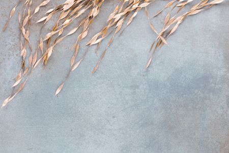 Niebieska tapeta w ZŁOTE LISTKI, nowoczesna fototapeta glamour do biura i domu