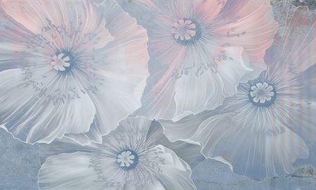 Niebiesko-różowa fototapeta duże kwiaty NIEBIESKIE MAKI, pastelowa do salonu i sypialni