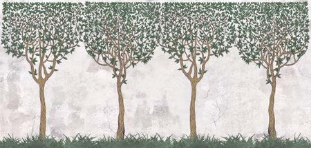 Tapeta ścienna z zielonymi drzewami laurowymi, rzymski ogród na betonowym szarym tle - TUSCULUM