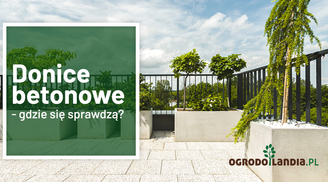 Donice betonowe - gdzie się sprawdzą?